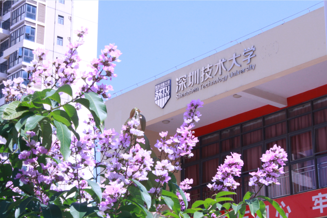 2019化妝刷團(tuán)體標(biāo)準(zhǔn)啟動儀式